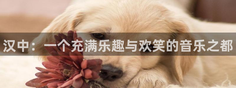 萍乡豪门国际大酒店：汉中：一个充满乐趣与欢笑的音乐之都