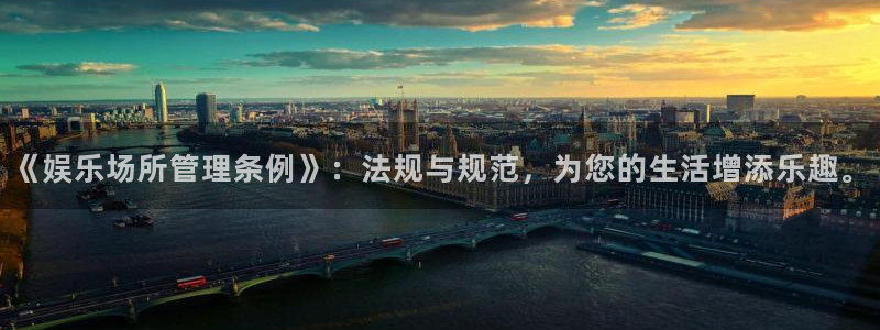豪门国际app：《娱乐场所管理条例》：法规与规范，为您的生活增添乐趣。