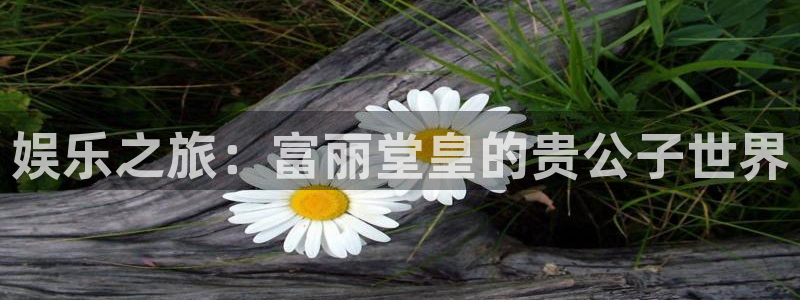 豪门国际是什么平台：娱乐之旅：富丽堂皇的贵公子世界