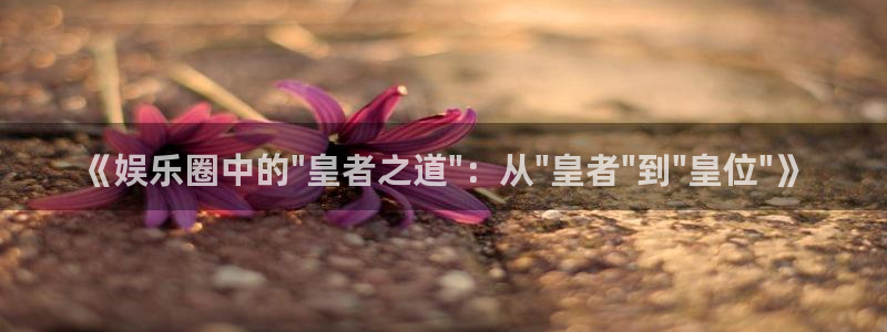豪门国际平台：《娱乐圈中的\