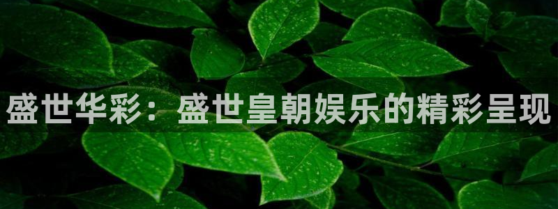 豪门国际网站：盛世华彩：盛世皇朝娱乐的精彩呈现