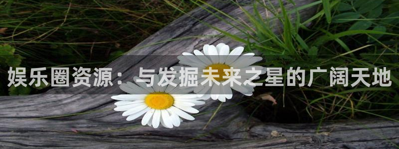 豪门国际官网：娱乐圈资源：与发掘未来之星的广阔天地