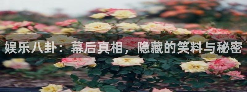 豪门国际水会：娱乐八卦：幕后真相，隐藏的笑料与秘密