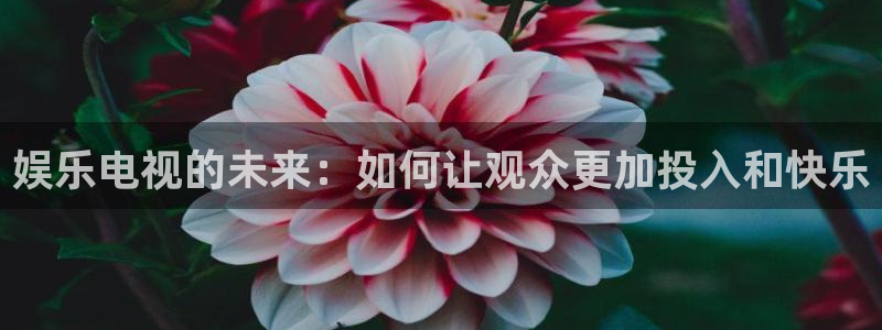 豪门国际下载：娱乐电视的未来：如何让观众更加投入和快乐
