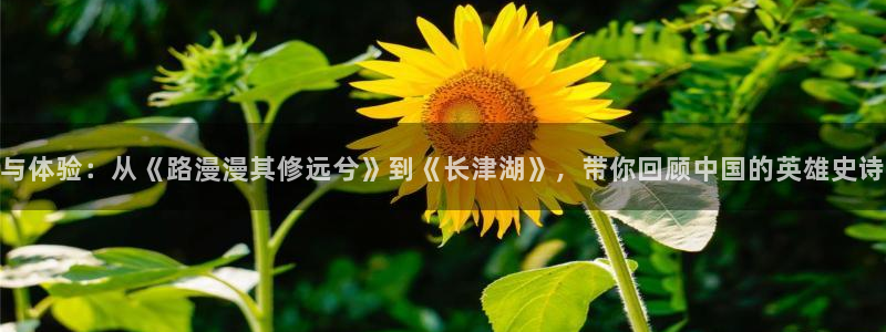豪门国际：与体验：从《路漫漫其修远兮》到《长津湖》，带你回顾中国的英雄史诗